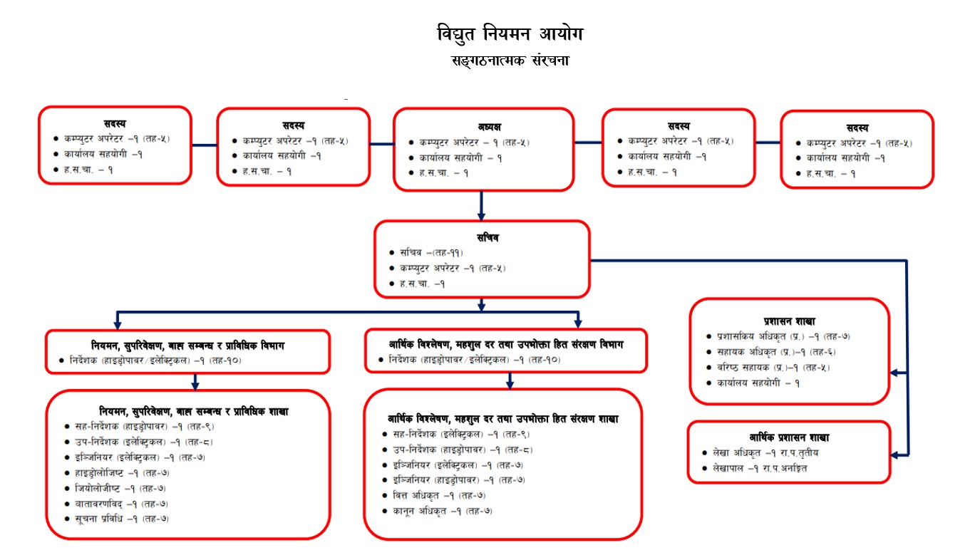 विद्युत नियमन आयोग संगठन संचरना